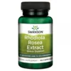 Różeniec Górski – Rhodiola Rosa Extract 60 kaps – Swanson